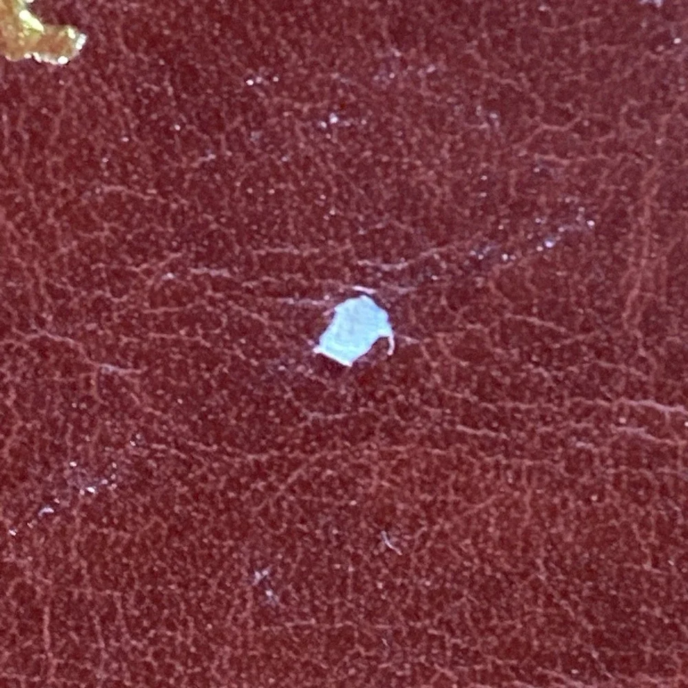 Torah Holy Land Edition Hardcover Book with Case Judaism English Red Gold Good